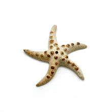 Afbeelding in Gallery-weergave laden, Tide & Tranquility Mini wierookhouder Collection