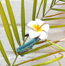 Load image into Gallery viewer, Lederen “message” armbanden collectie