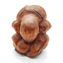 Afbeelding in Gallery-weergave laden, Yogiman - Lakaiann