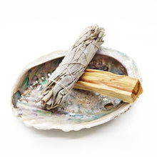 Afbeelding in Gallery-weergave laden, Abalone schelp - Lakaiann