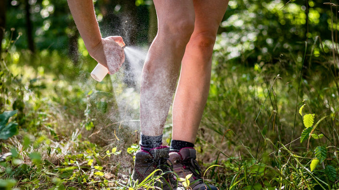 Muggen? Natuurlijk opgelost! DIY Spray