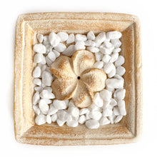Afbeelding in Gallery-weergave laden, Plumeria wierookhouders
