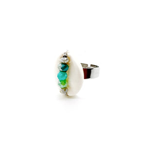 Shell ring collectie