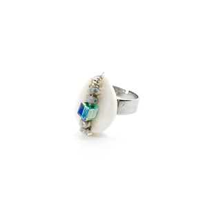 Shell ring collectie