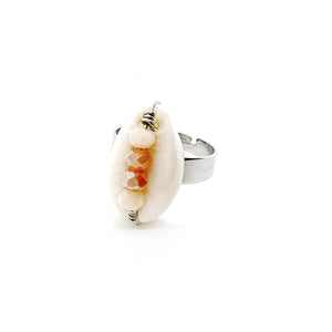 Shell ring collectie