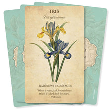 Afbeelding in Gallery-weergave laden, Botanical Inspirations deck
